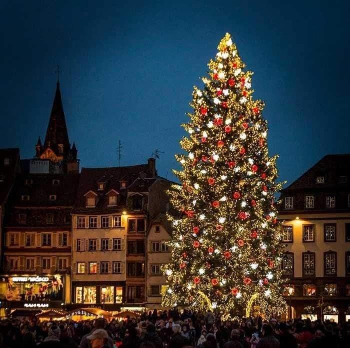 Gites Spa Strasbourg - La Villa 14 Furdenheim エクステリア 写真