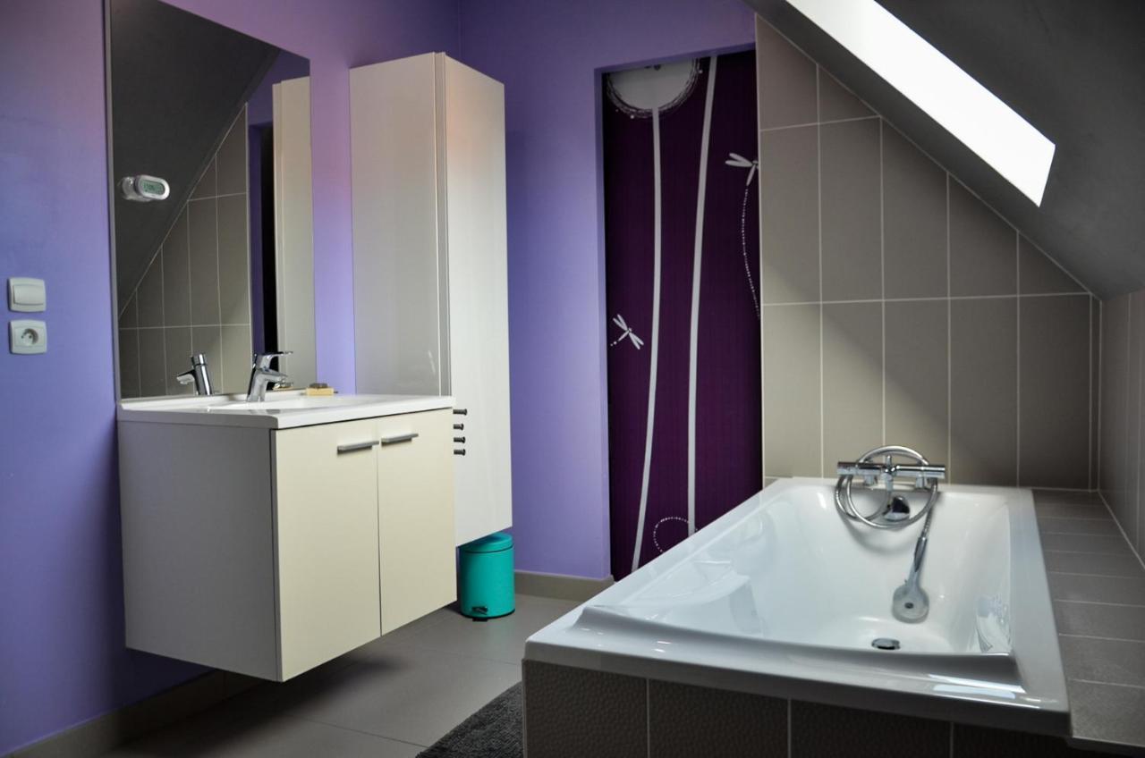 Gites Spa Strasbourg - La Villa 14 Furdenheim エクステリア 写真