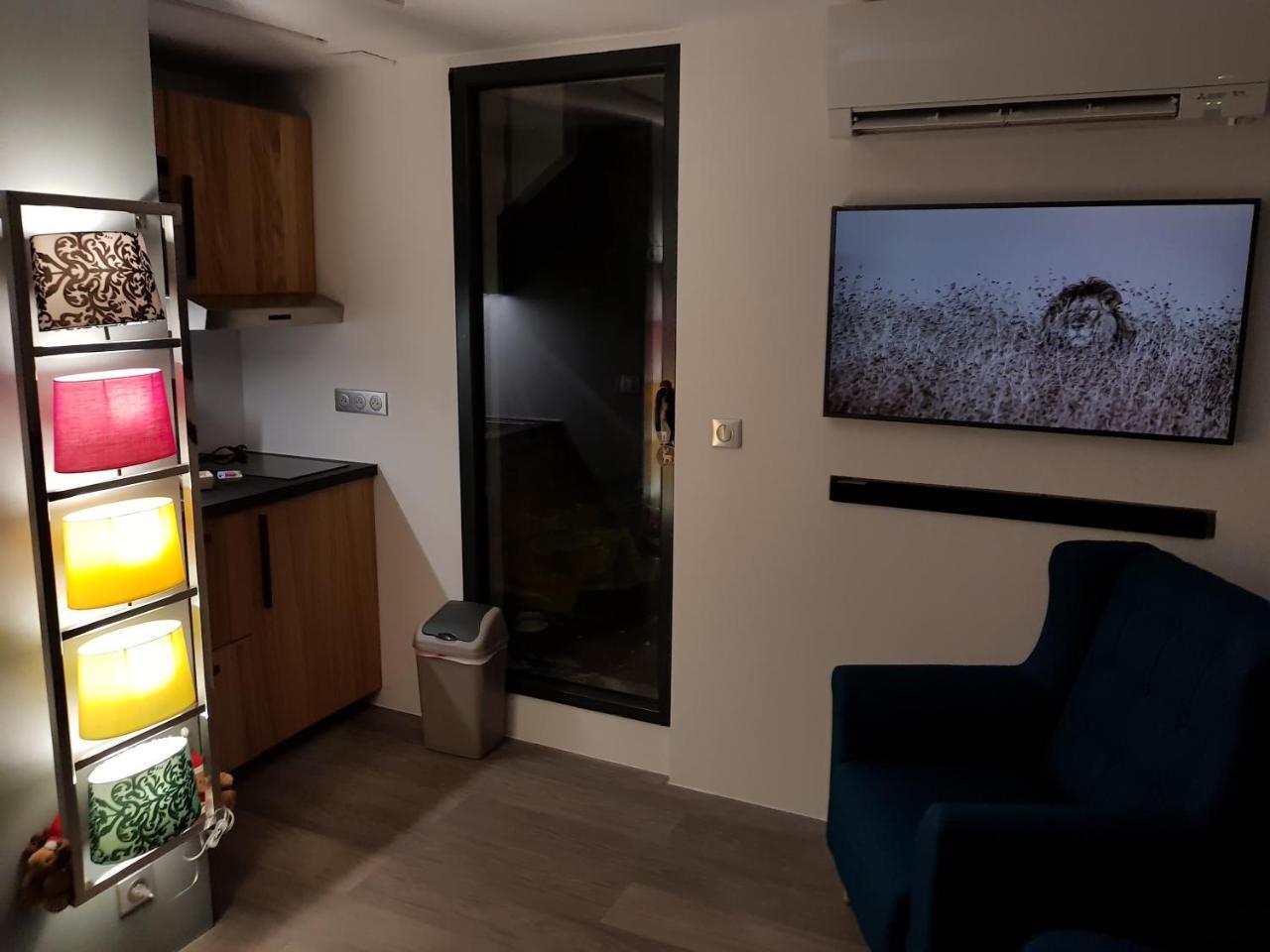 Gites Spa Strasbourg - La Villa 14 Furdenheim エクステリア 写真